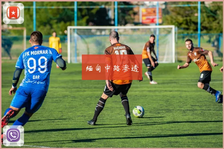 缅甸中路渗透