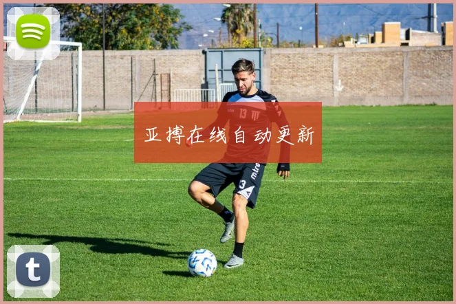 亚搏在线自动更新