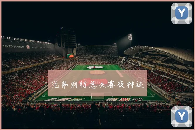 范弗利特总决赛夜神迹