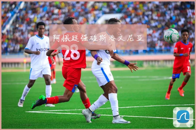 阿根廷强碰斯洛文尼亚