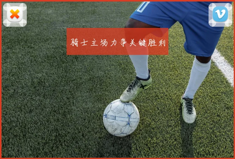 骑士主场力争关键胜利