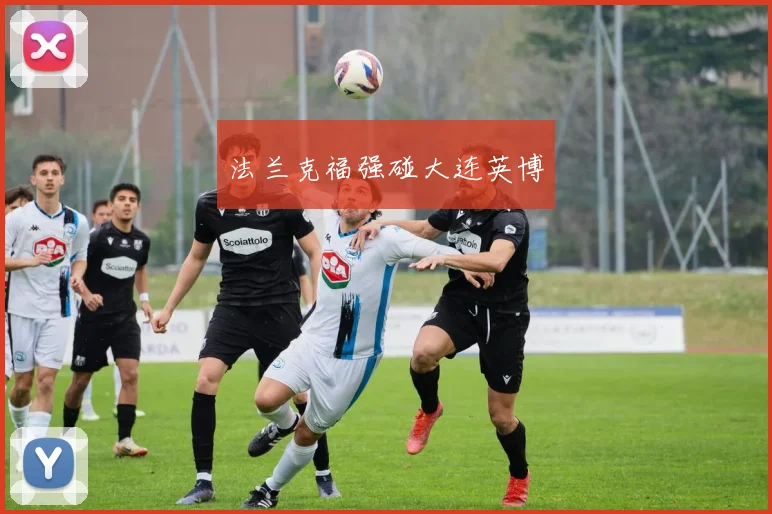 法兰克福强碰大连英博