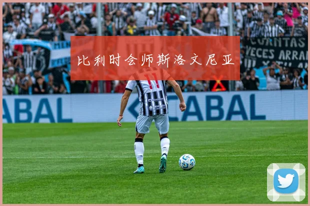比利时会师斯洛文尼亚