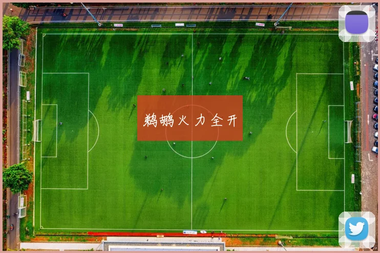 鹈鹕火力全开