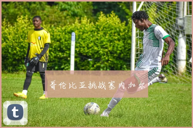 哥伦比亚挑战塞内加尔