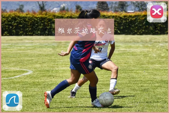 维尔茨边路突击