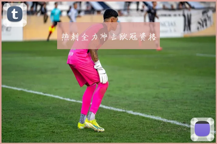 热刺全力冲击欧冠资格