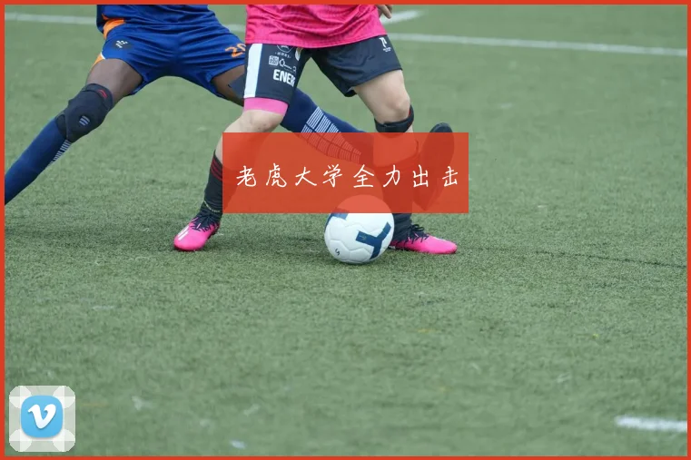 老虎大学全力出击