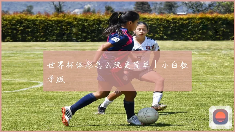 世界杯体彩怎么玩更简单｜小白教学版