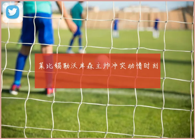 莱比锡勒沃库森主帅冲突动情时刻
