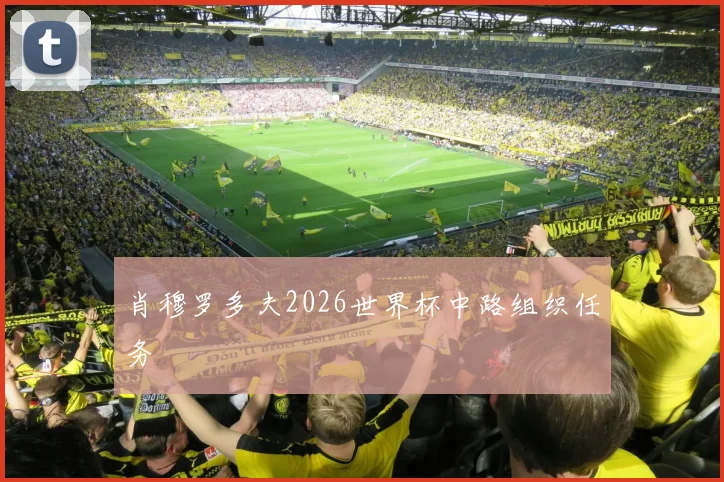 肖穆罗多夫2026世界杯中路组织任务