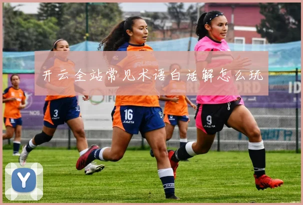 开云全站常见术语白话解怎么玩
