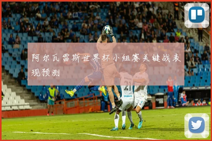 阿尔瓦雷斯世界杯小组赛关键战表现预测