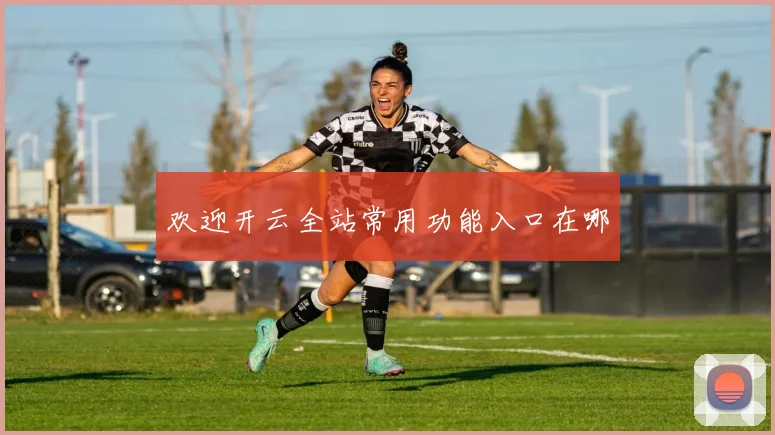 欢迎开云全站常用功能入口在哪