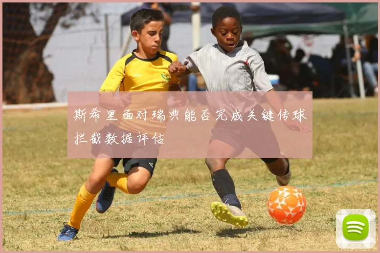 斯希里面对瑞典能否完成关键传球拦截数据评估