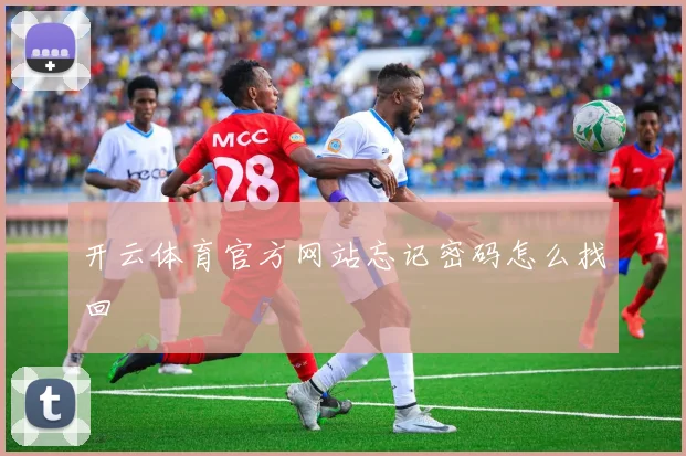 开云体育官方网站忘记密码怎么找回